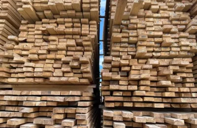 Bamboo Plywood Manufacturers In Mumbai