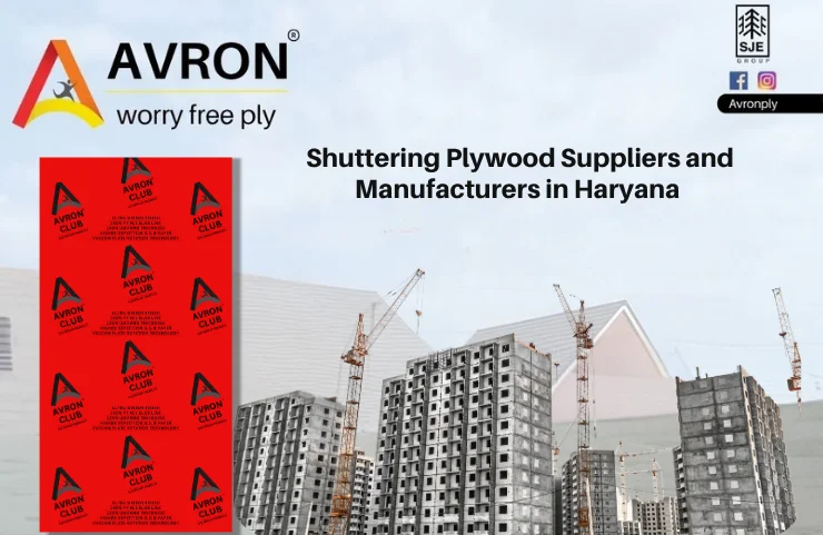 Shuttering Plywood Suppliers and Manufacturers in Haryana